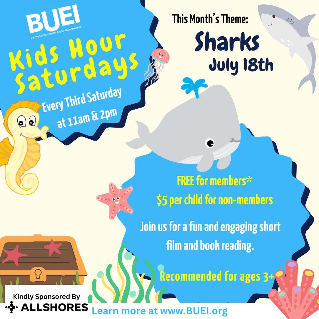 Kids Hour Saturdays – Sharks (2pm) at BUEI